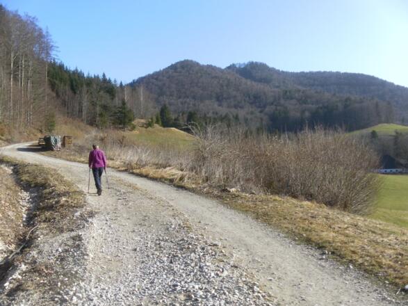 am Weg zur Pechauerscharte