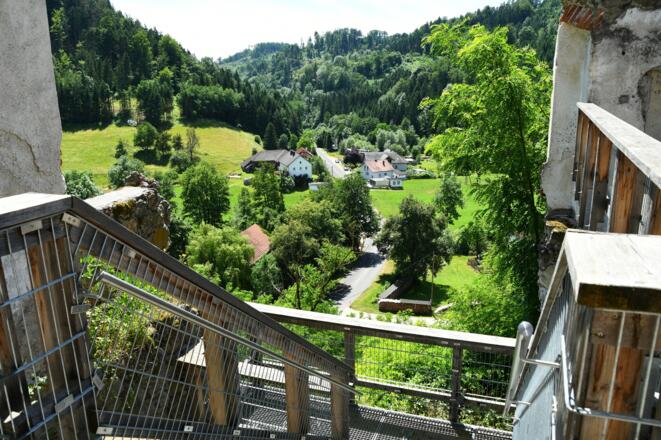 Blick von der Burgruine Reichenstein ins Waldaisttal