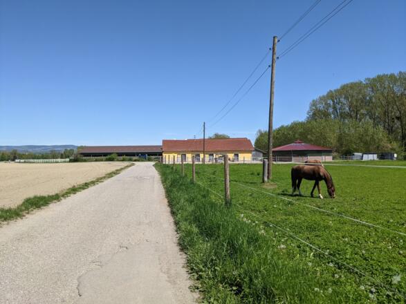 Beim Pferdehof, vor dem ersten Stall, nach rechts