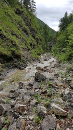 In der kleinen Schlucht 2/4