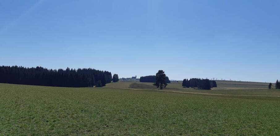 Wiesen und Wälder am Weg
