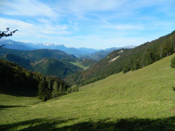 die Weideflächen der Menauer Alm
