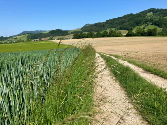 Dürnbachrunde