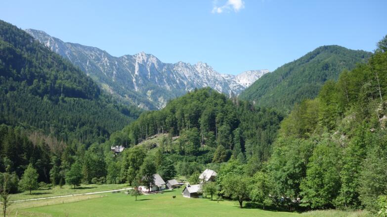 Über die Wiese zum Jagahäusl ~630m