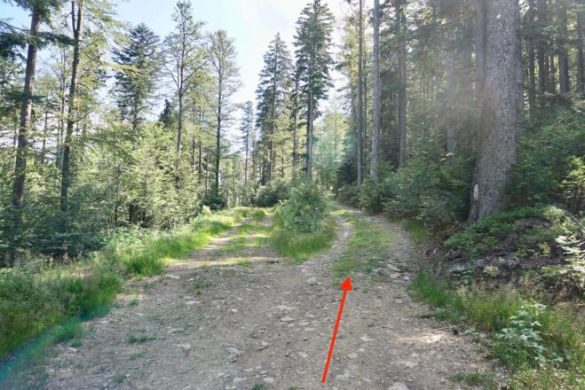 Weg zum Reischflecksattel