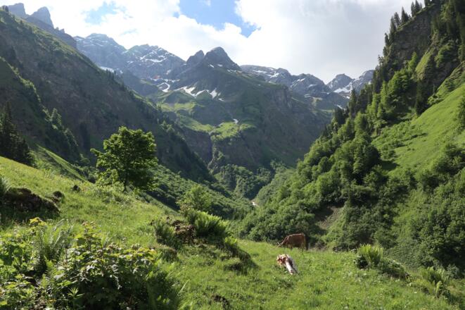 Bacher Loch, Zustieg Waltenbergerhaus