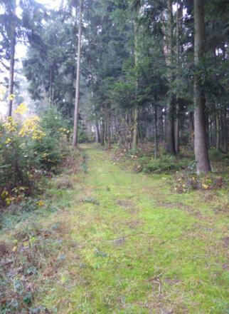 hinauf nach Streitberg