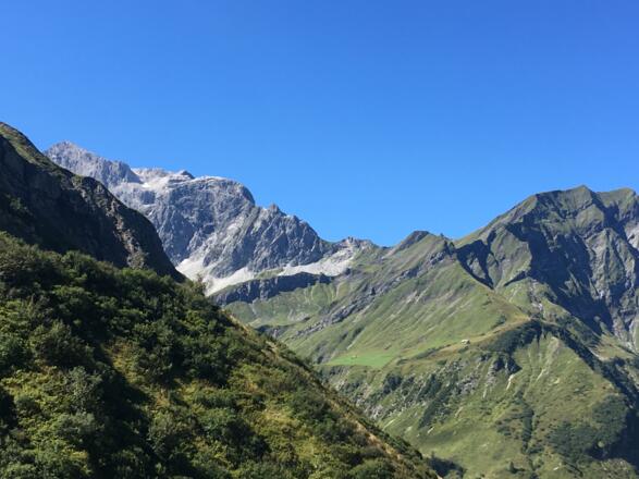 Blick Richtung Braunarlspitez