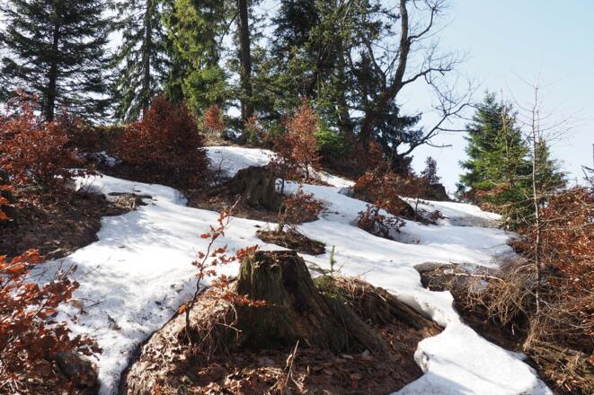 Breitenauer Spitz 1142m