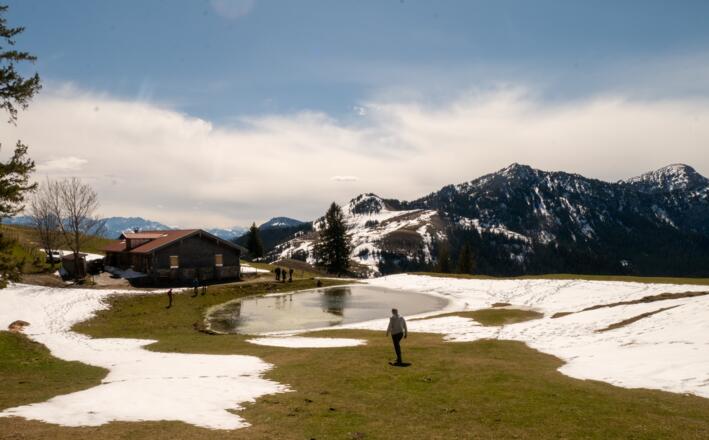 Die Huberalm mit dem Froschteich im Vordergrund.
