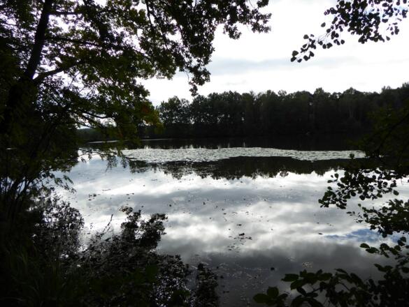 Charlottenhofer Weihergebiet - Hausweiher