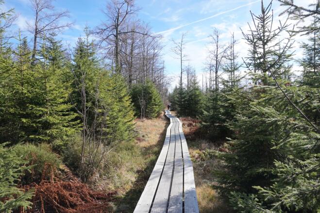 Bohlenweg nach dem Teufelsloch