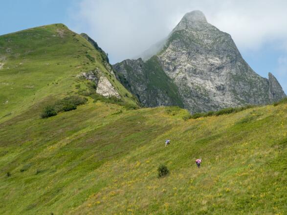 Auf dem Älpelesattel mit Blick auf die Höfats