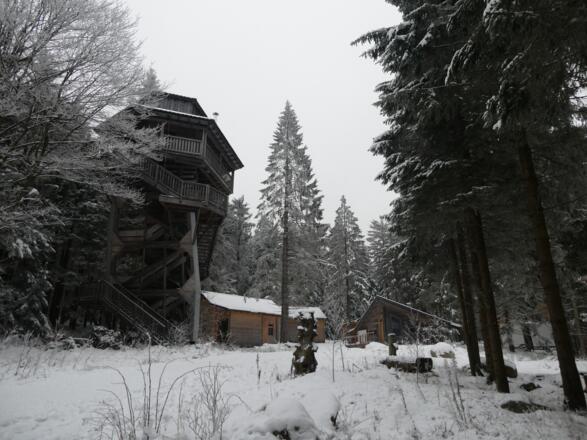 Waldlerdorf Ramenai