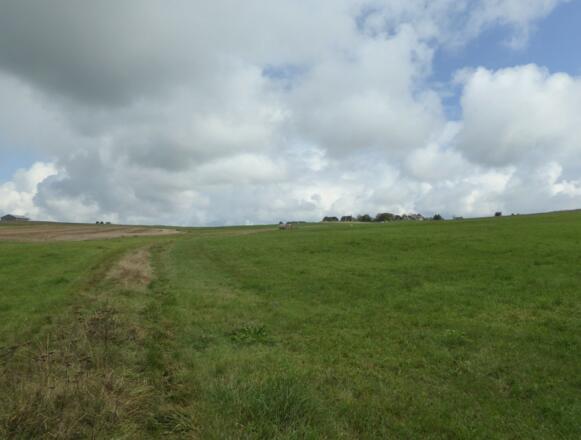 Wiesenweg hinauf nach Penting