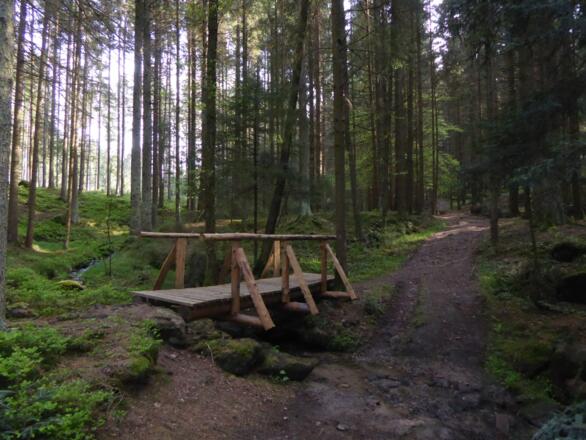 auf dem BK2 zurück nach Bad Kötzting