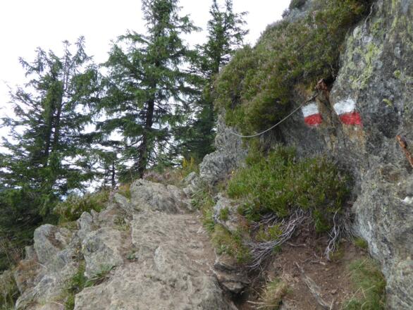 Ein kurzer Abschnitt vorm Großen Osser ist drahtseilgesichert