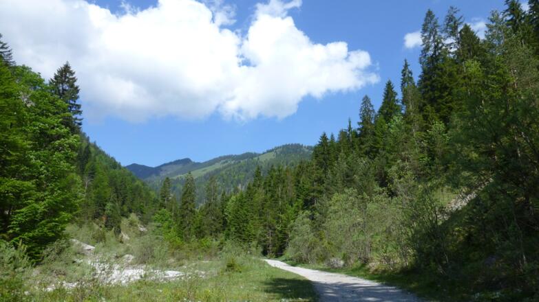 Im hinteren Gießenbachtal