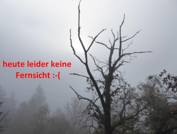 Aussichtspunkt Sattelberg