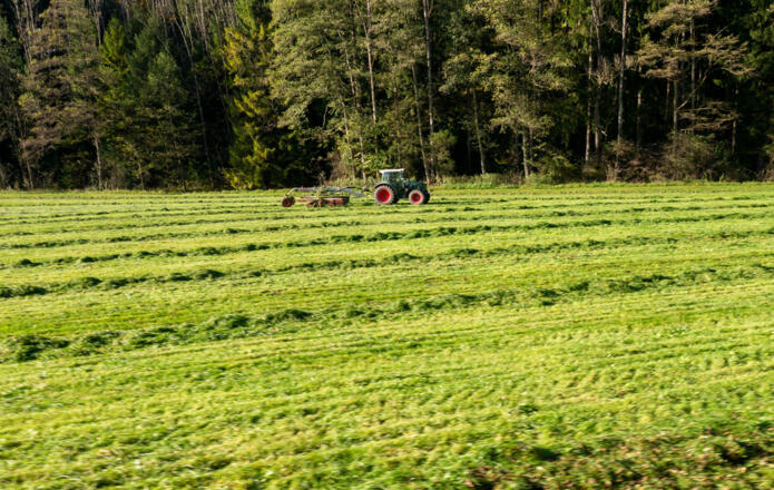 im Tal des Kupferbaches