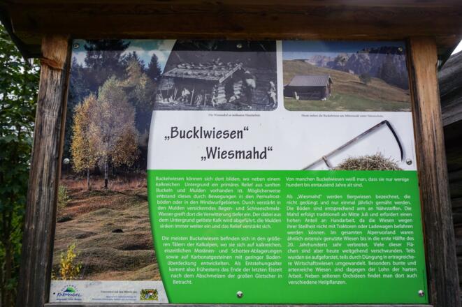Wissenswertes am Wegrand über die geheimnisvollen Buckelwiesen