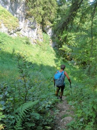 Ostabstieg vom Laubenstein