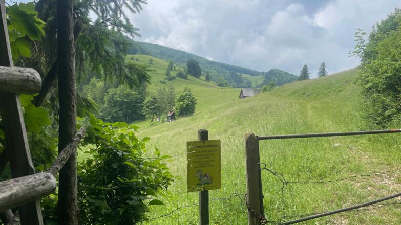 Bahnhof Ternberg - Herndleck Trail