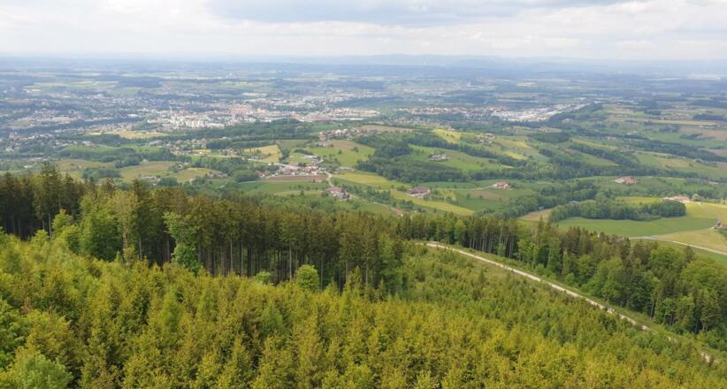 Blick von der Dambergwarte zurück nach Steyr und ins Voralpenland hinaus, im Hintergrund die Erhebungen des außeralpinen Mühlviertels