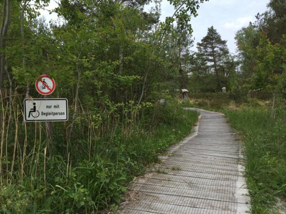 Kollerfilze bei Nicklheim