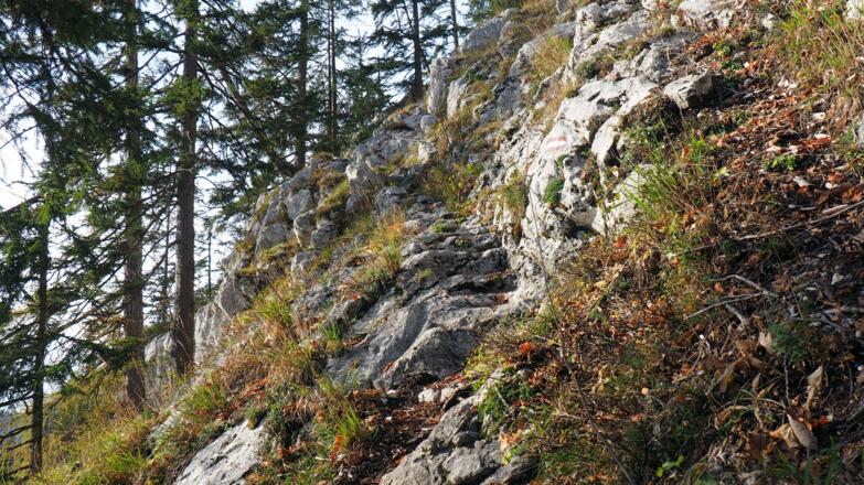 am Nagelsteig um 950m
