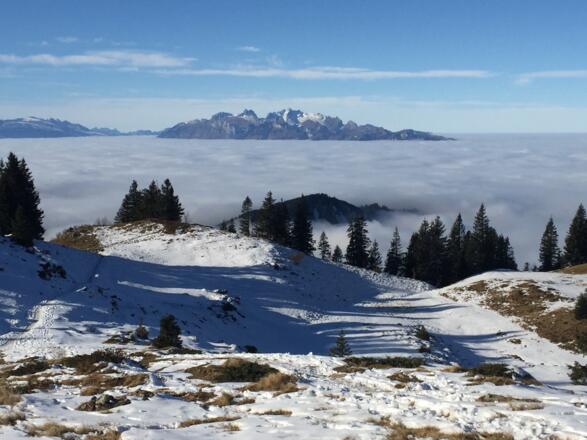 Blick zum Säntis vom Freschenhaus