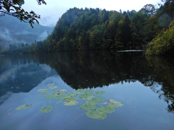 Der Krotensee