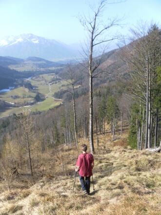 Schneisenabstieg