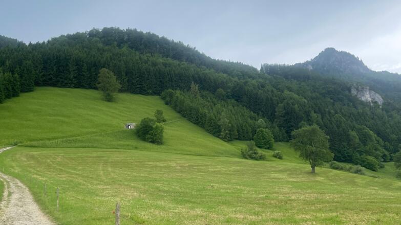 Bahnhof Ternberg - Herndleck Trail
