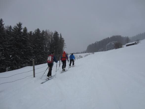 immer wieder die Lücken im Zaun suchen