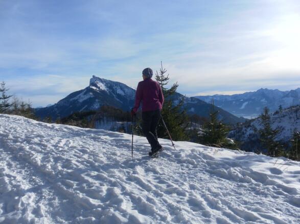 Schafbergblick