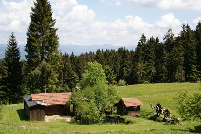 Weiler Pröllersäge mit Blick zum Gr. Arber