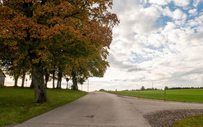 Verkehrsarme Landstraße