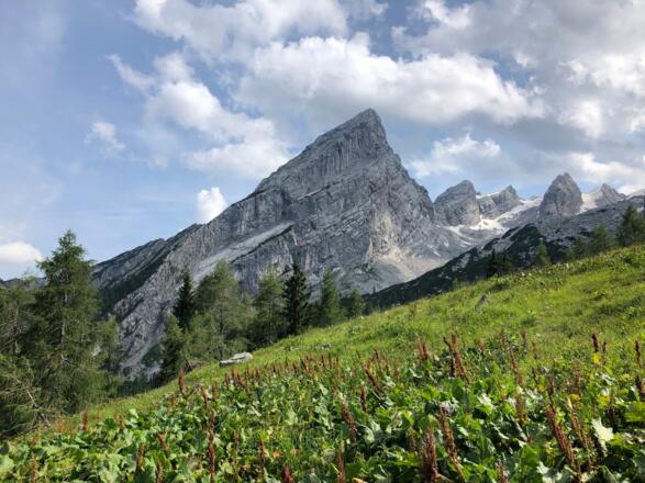 Blick auf Watzmannfrau und Watzmannkar von der Falzalm.