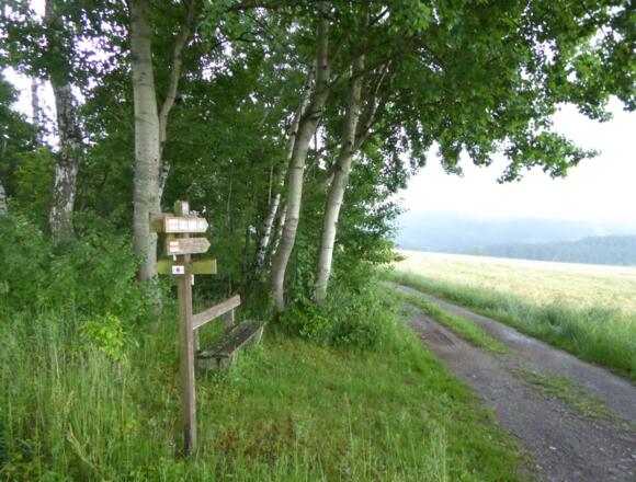 Nurtschweg beim Grenzlandturm