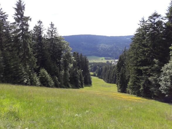 Aussicht von Pröller-Skiabfahrt