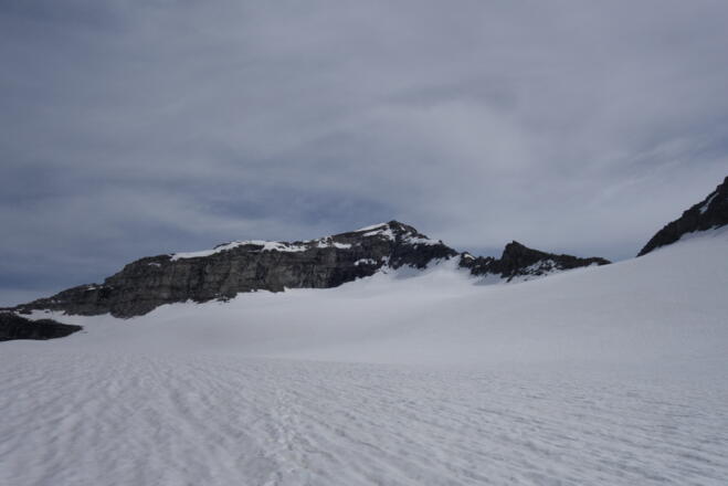 Am flachen Gletscher dem Gipfel entgegen