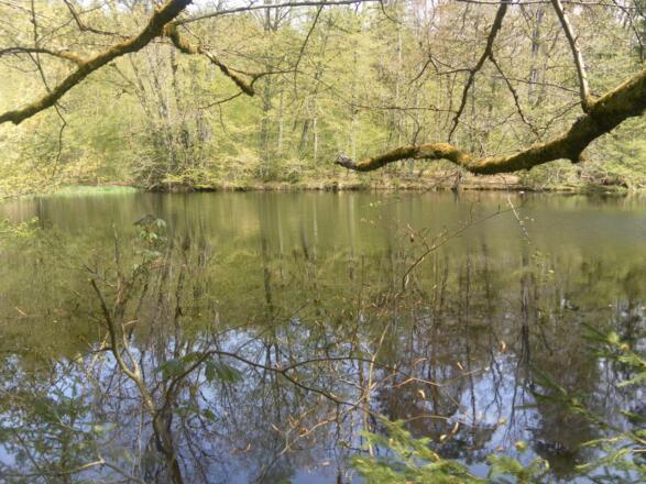 Huckinger See