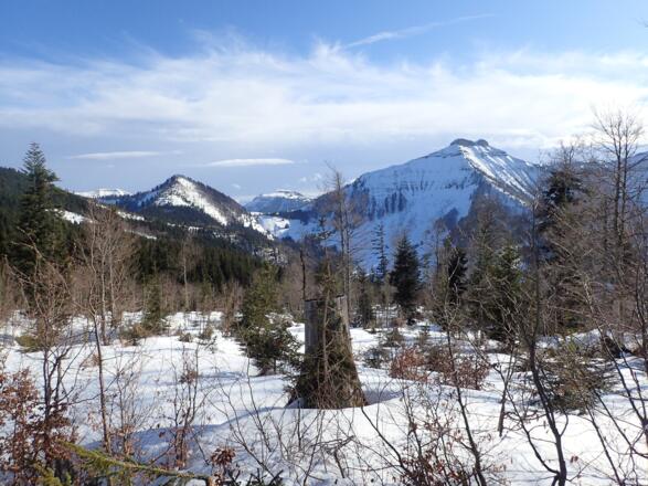 Sattelköpfel und Schmittenstein