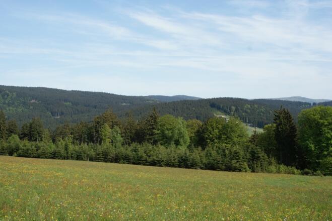 Ausblick vor Maibrunn zum Höhenrücken mit Hirschenstein (1095 m)