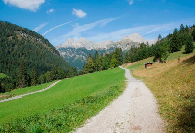 Berggut Gaicht