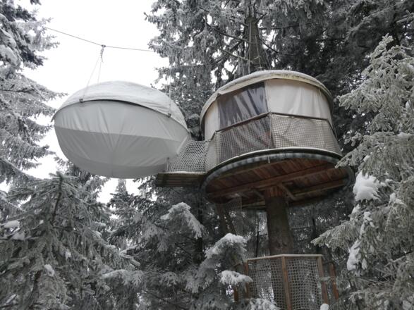 Schlafen im Baumbett