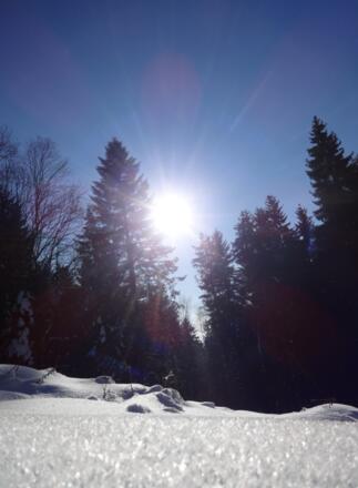 Winterwunderland