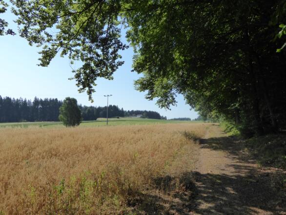kurz vorm Schiederhof