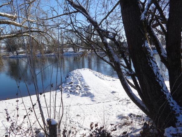 Donau an der Vogelau